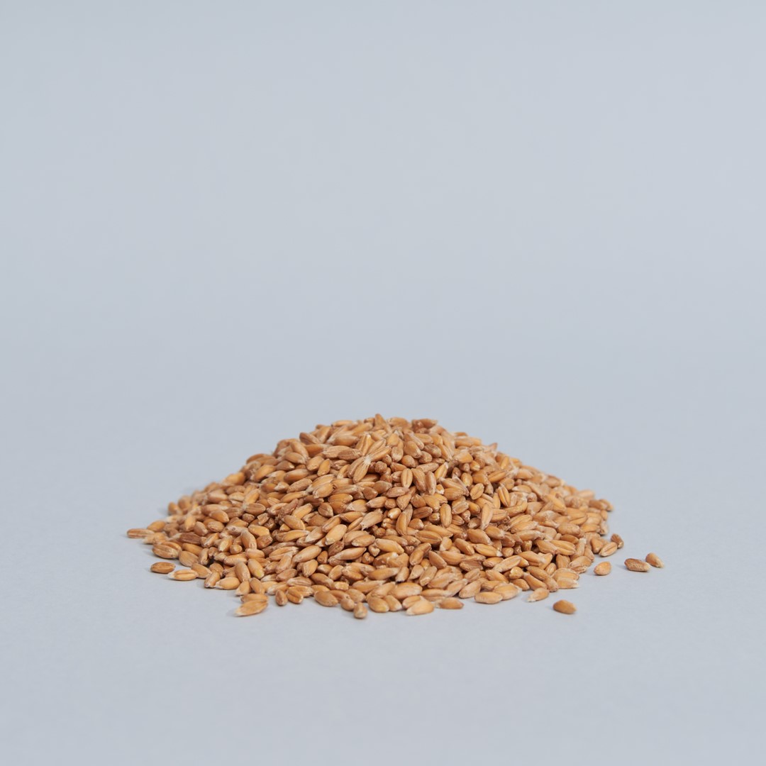 cereali-farro-decorticato-01.jpg