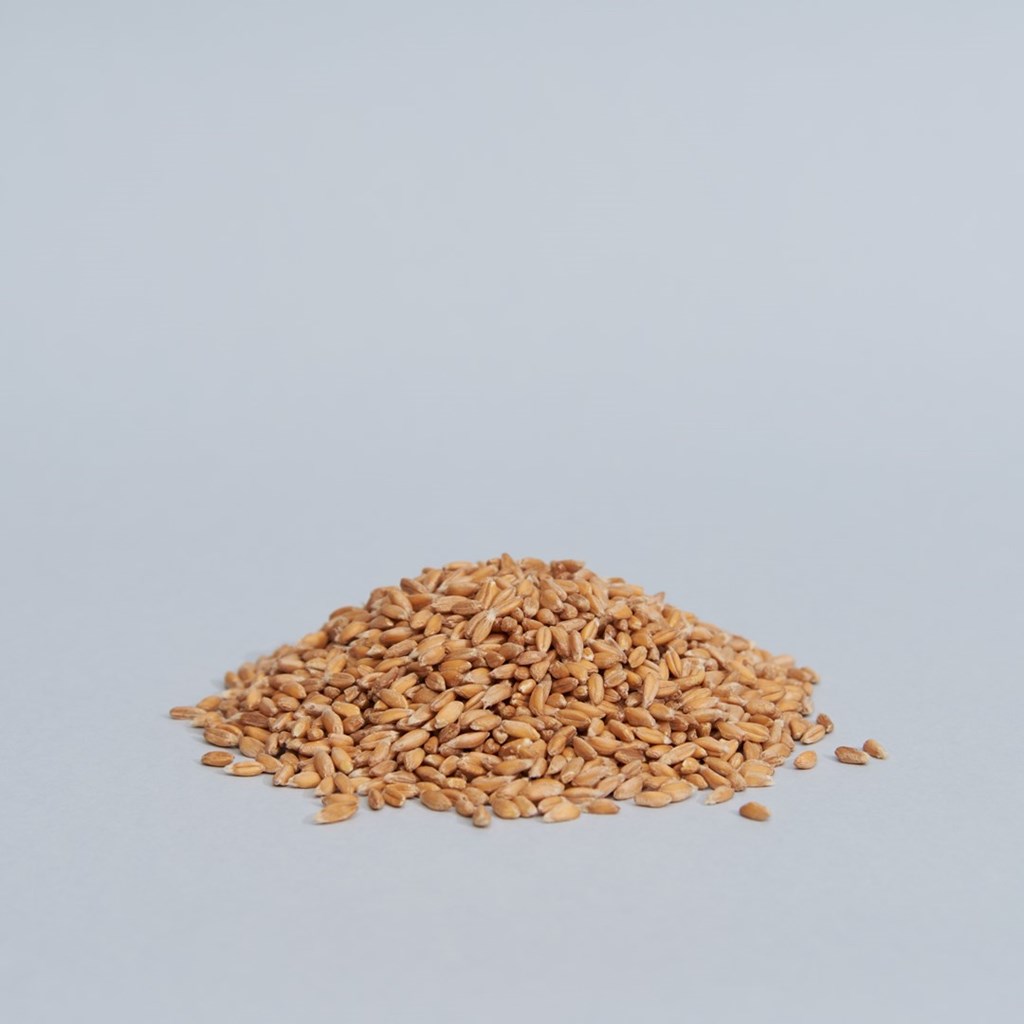 cereali-farro-decorticato-01.jpg