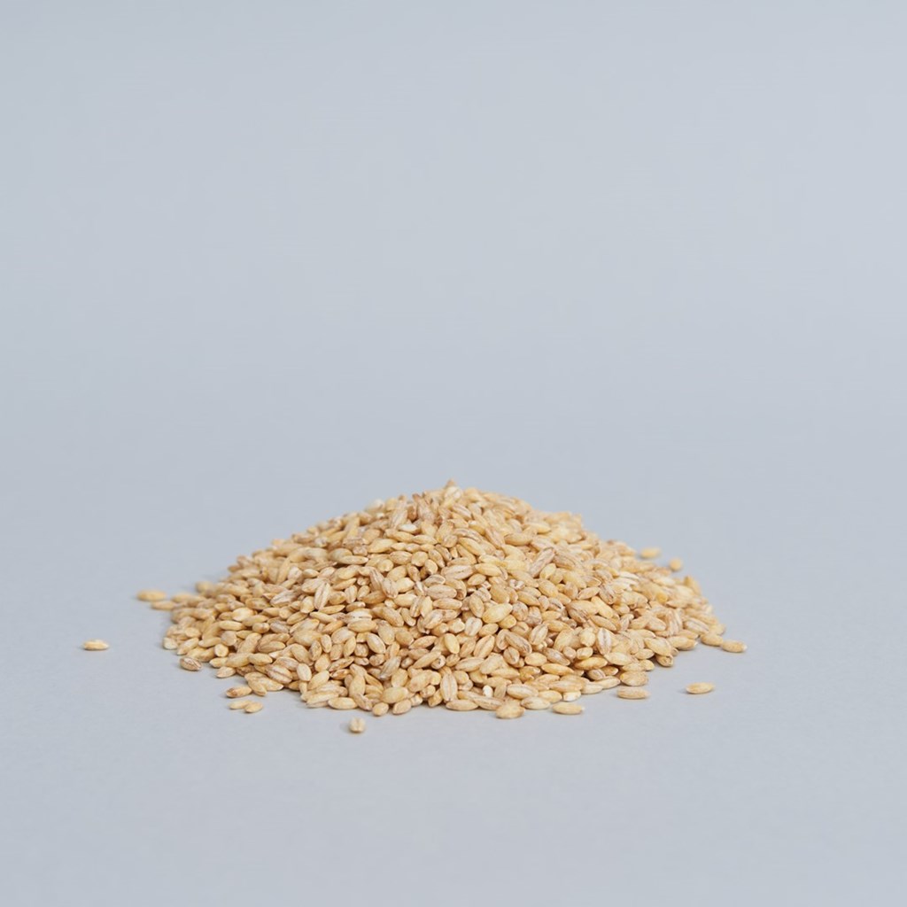 cereali-orzo-perlato-01.jpg