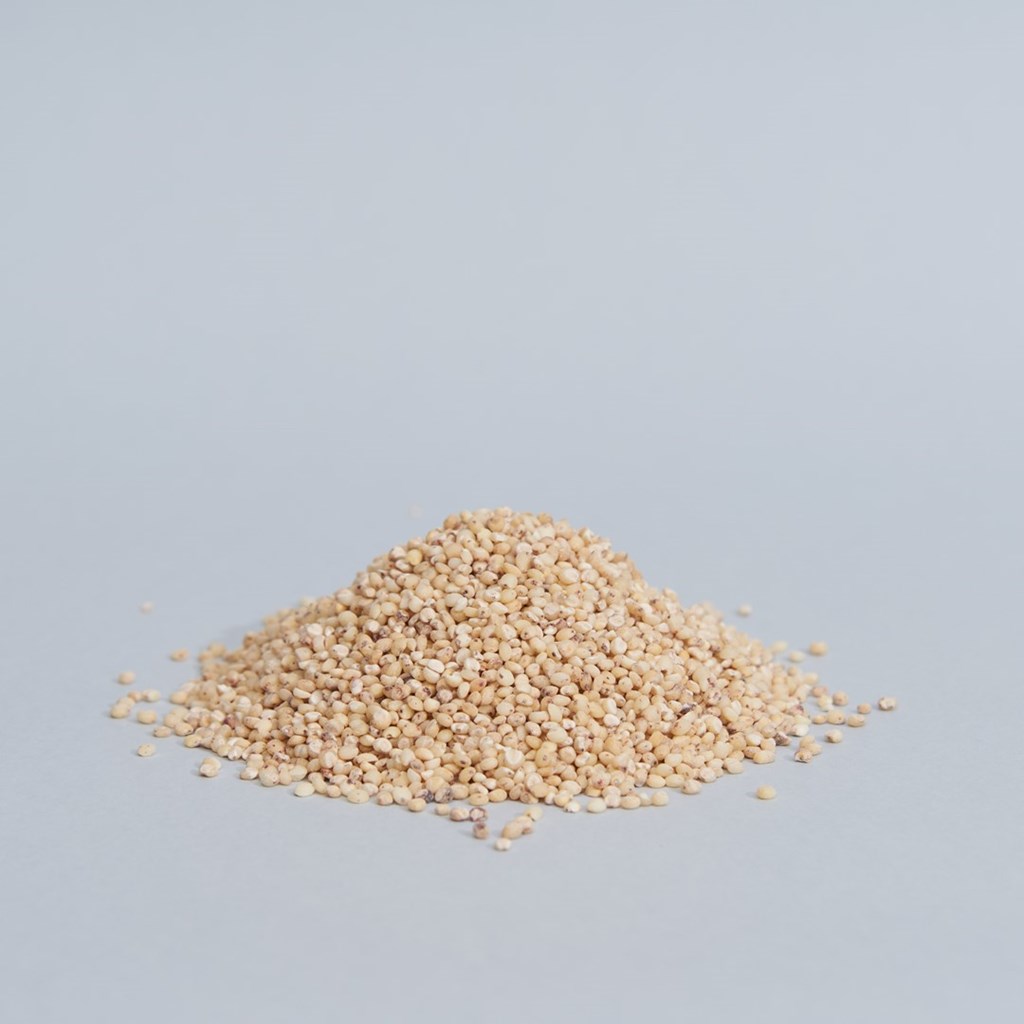 cereali-sorgo-01.jpg