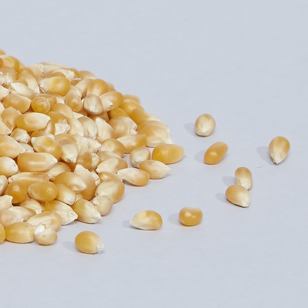 mais-popcorn-02.jpg