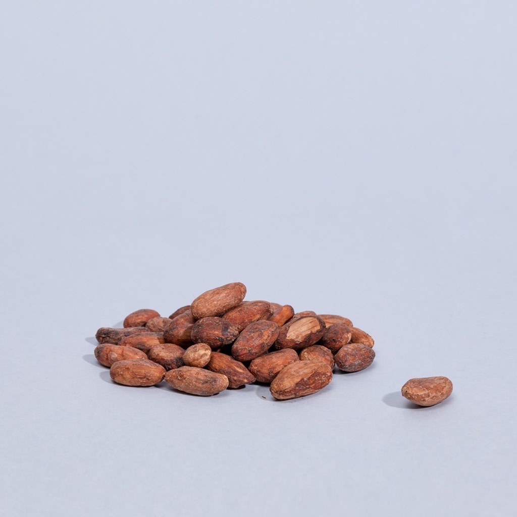 fave-cacao-01.jpg