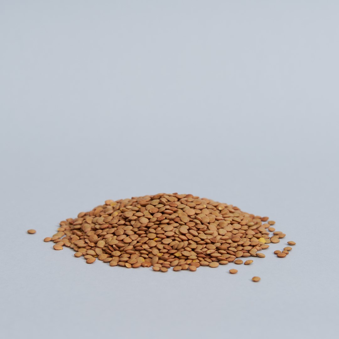 legumi-lenticchie-laird-01.jpg