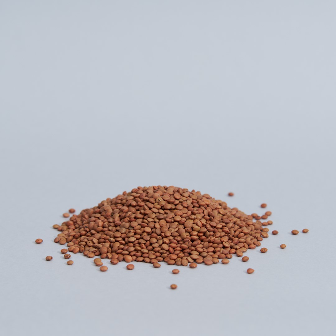 legumi-lenticchie-marroni-01.jpg