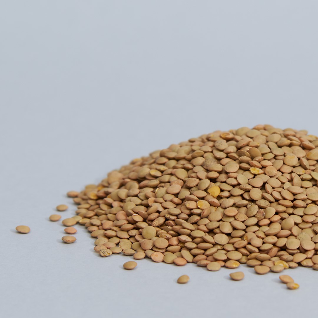 legumi-lenticchie-piccole-02.jpg