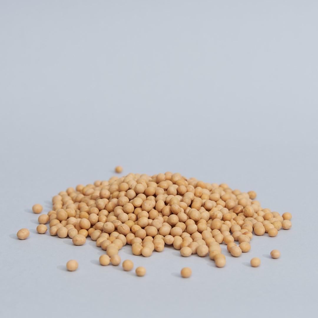legumi-soia-gialla-01.jpg
