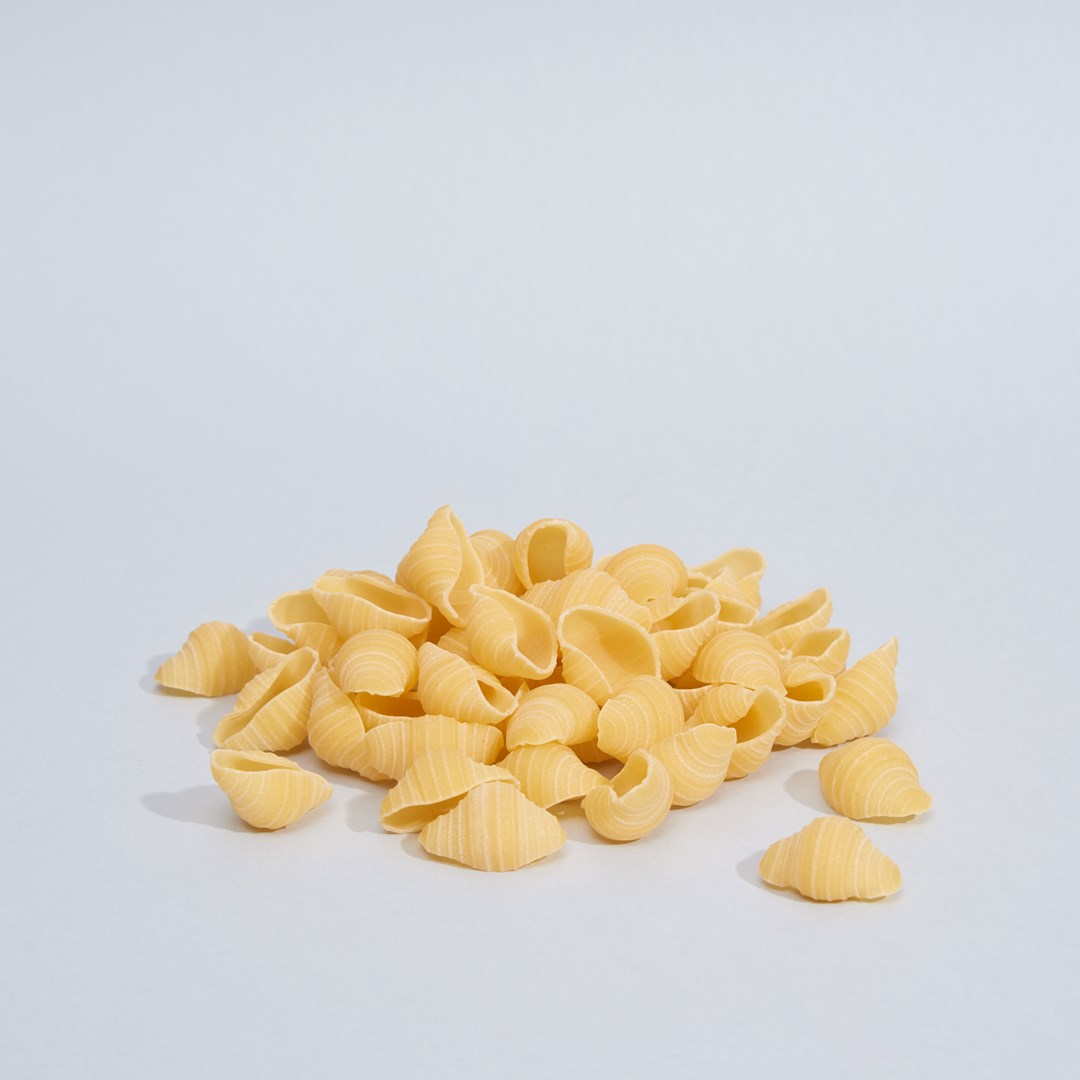 pasta-conchiglioni-01.jpg