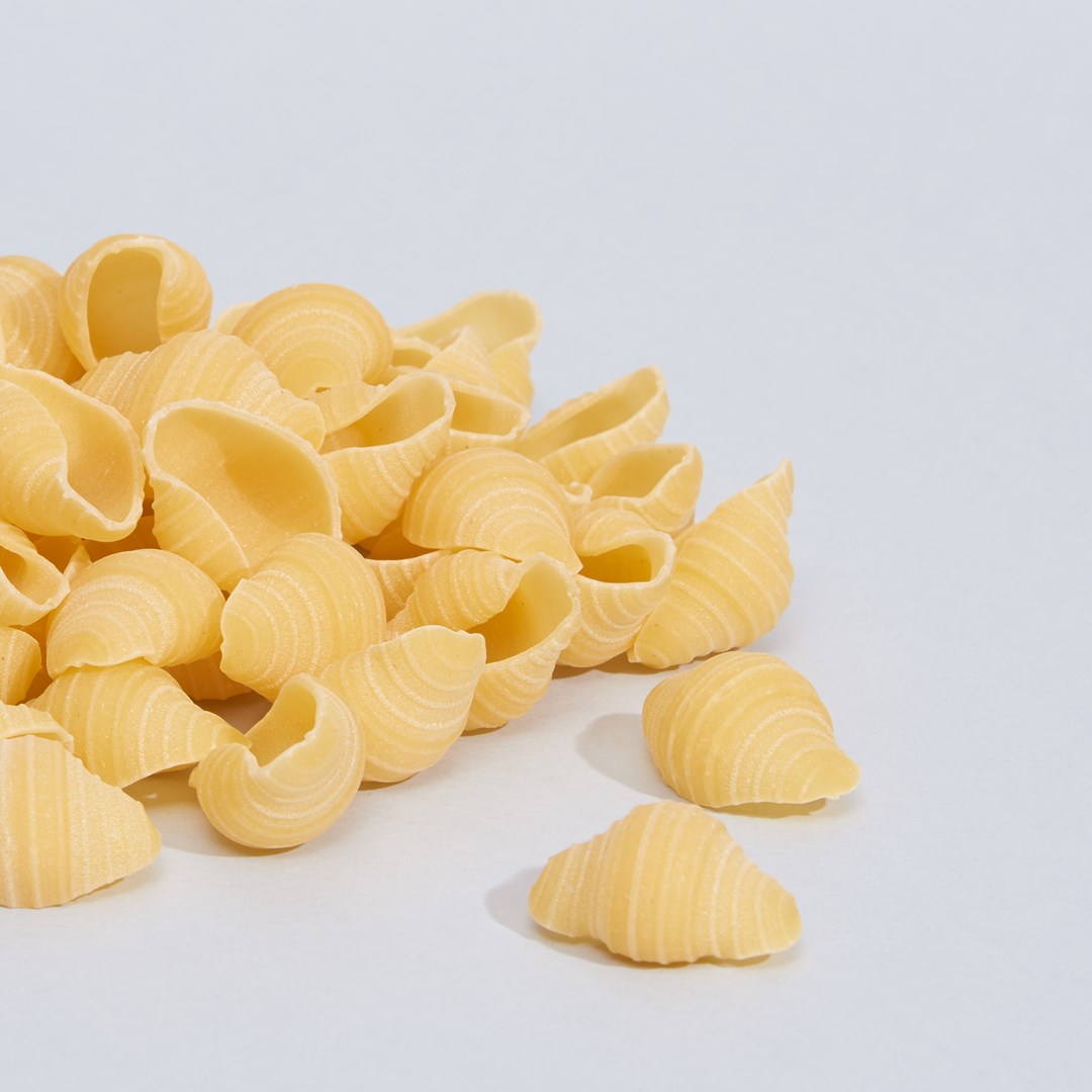 pasta-conchiglioni-02.jpg