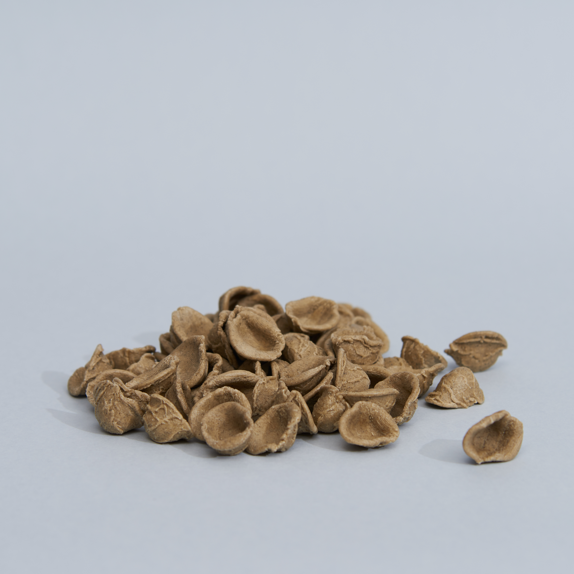 pasta_orecchiette_grano_arso_01.jpg