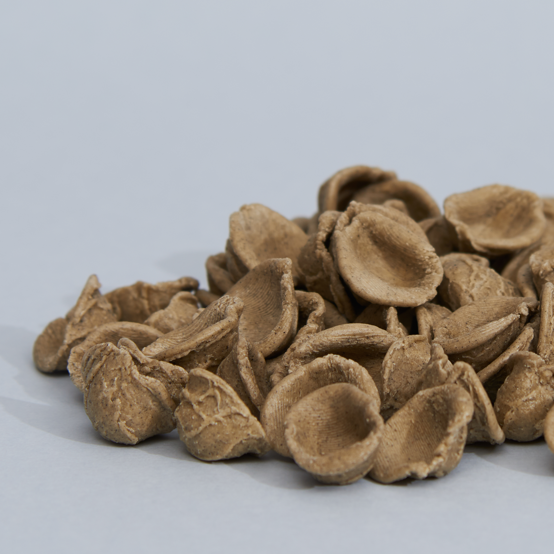 pasta_orecchiette_grano_arso_02.jpg