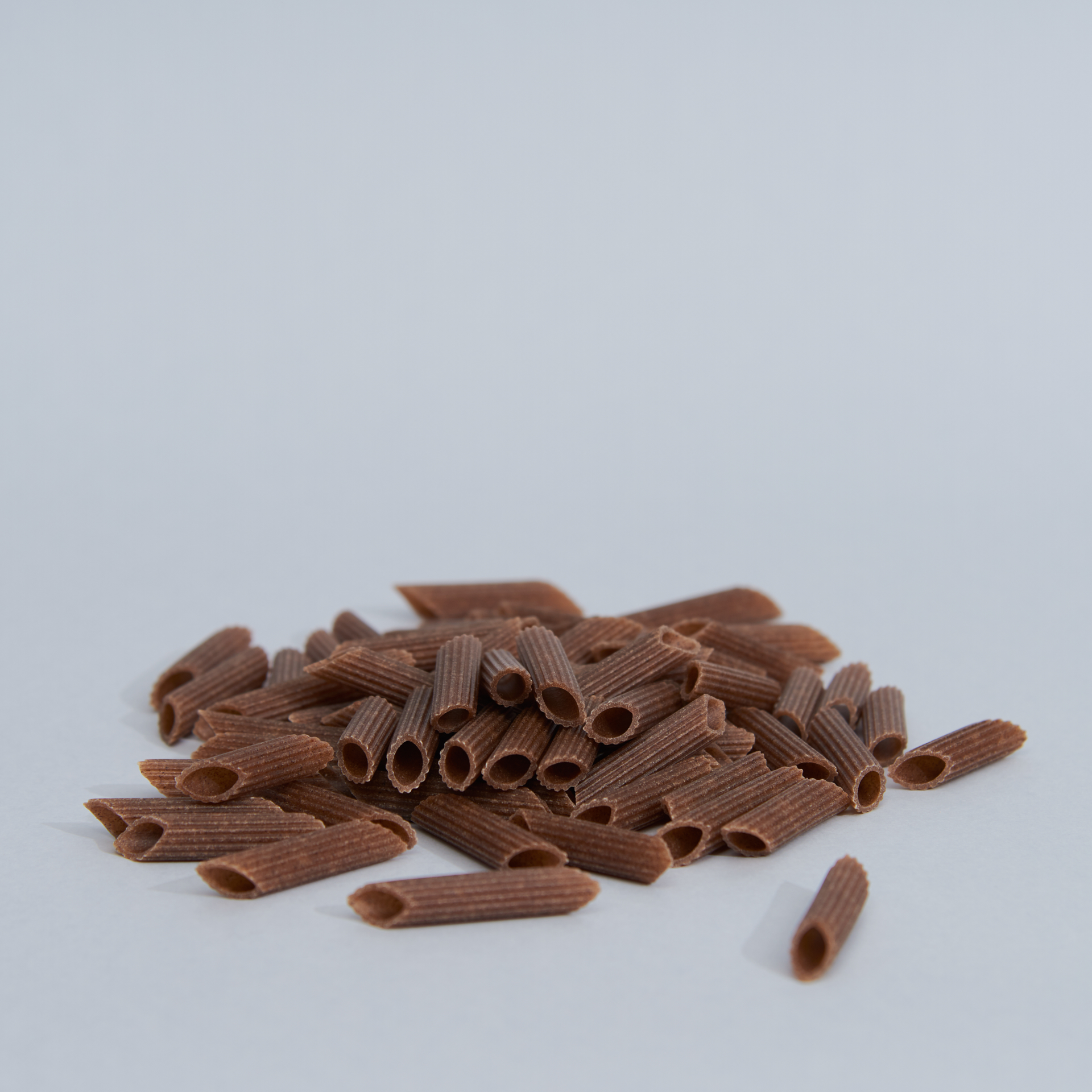 pasta_sg_penne_saraceno_01.jpg