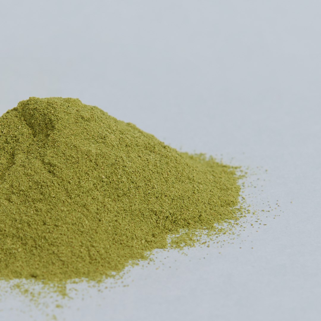 super-food-moringa-02.jpg